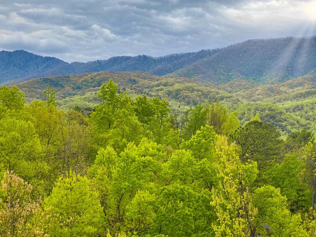 Amazing Views, Gatlinburg