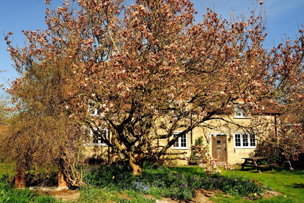 3 Canalside Cottages in Towcester, United Kingdom reviews, prices