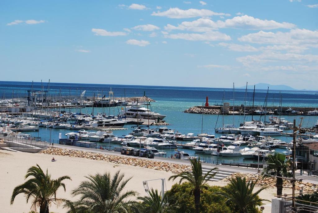 アクティビティ