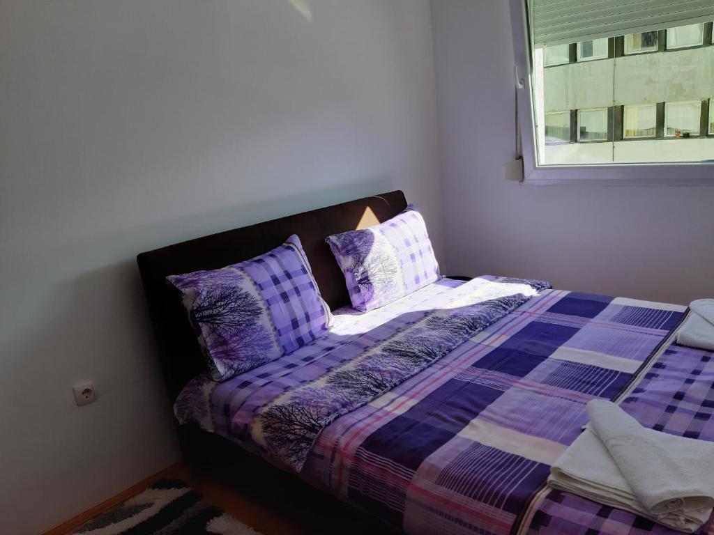 Apartments Jovana - 5