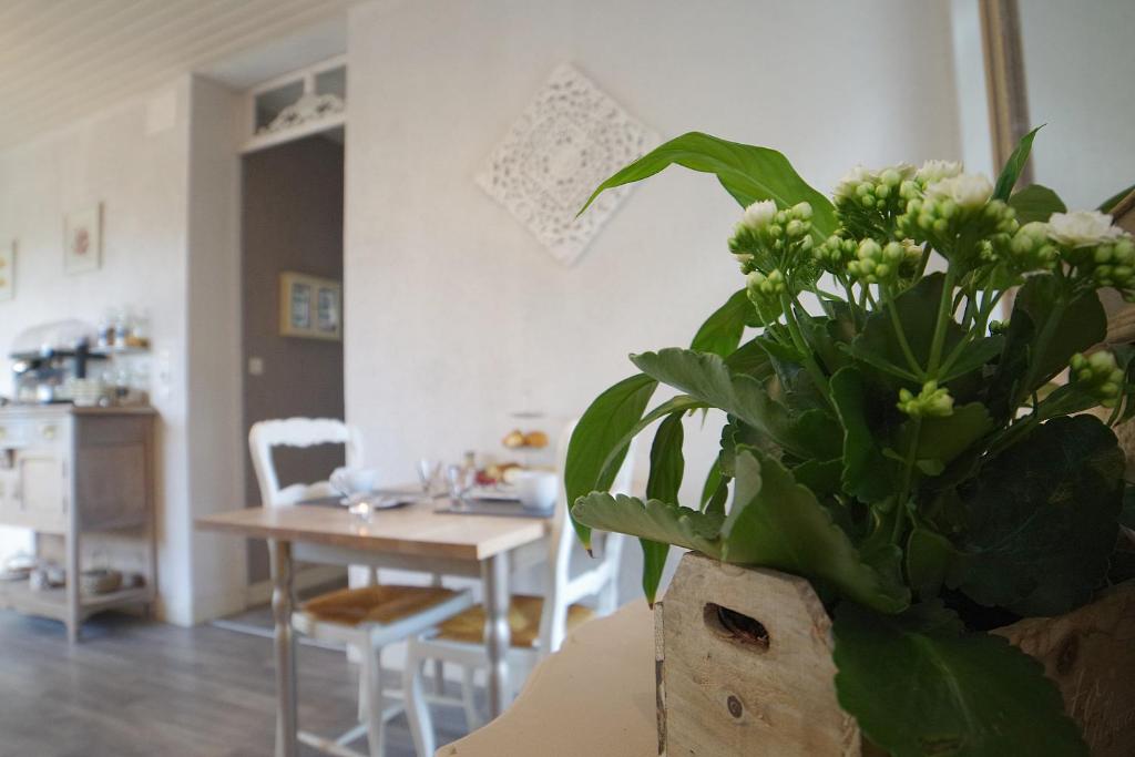 Les 4 saisons お料理のイメージ