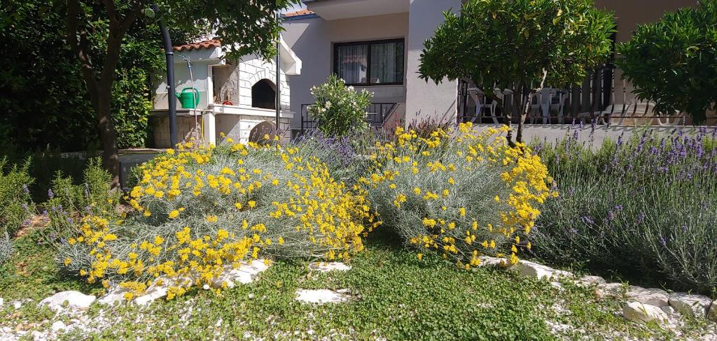 Holiday home Ruzmarin photo