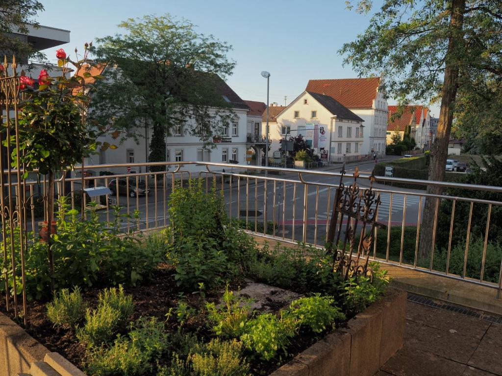 Hotel „Zur Linde“ photo