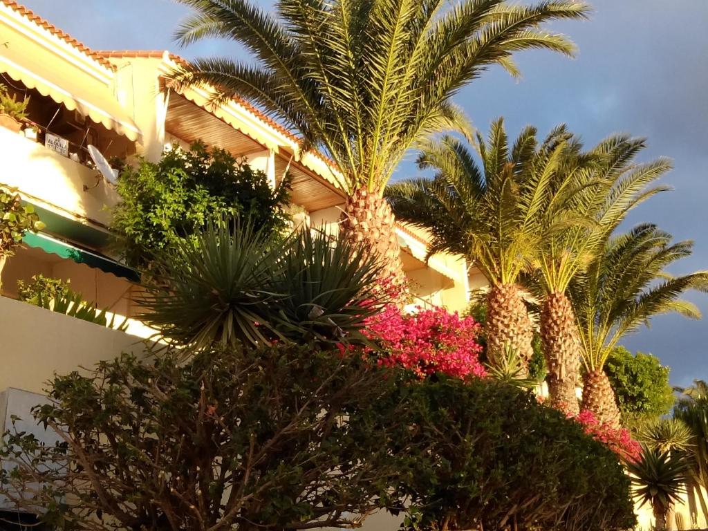 Paradis photo