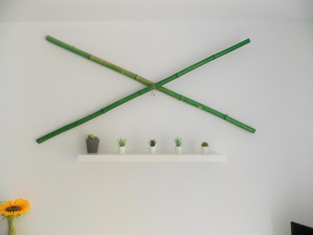 The Green Oasis - 5