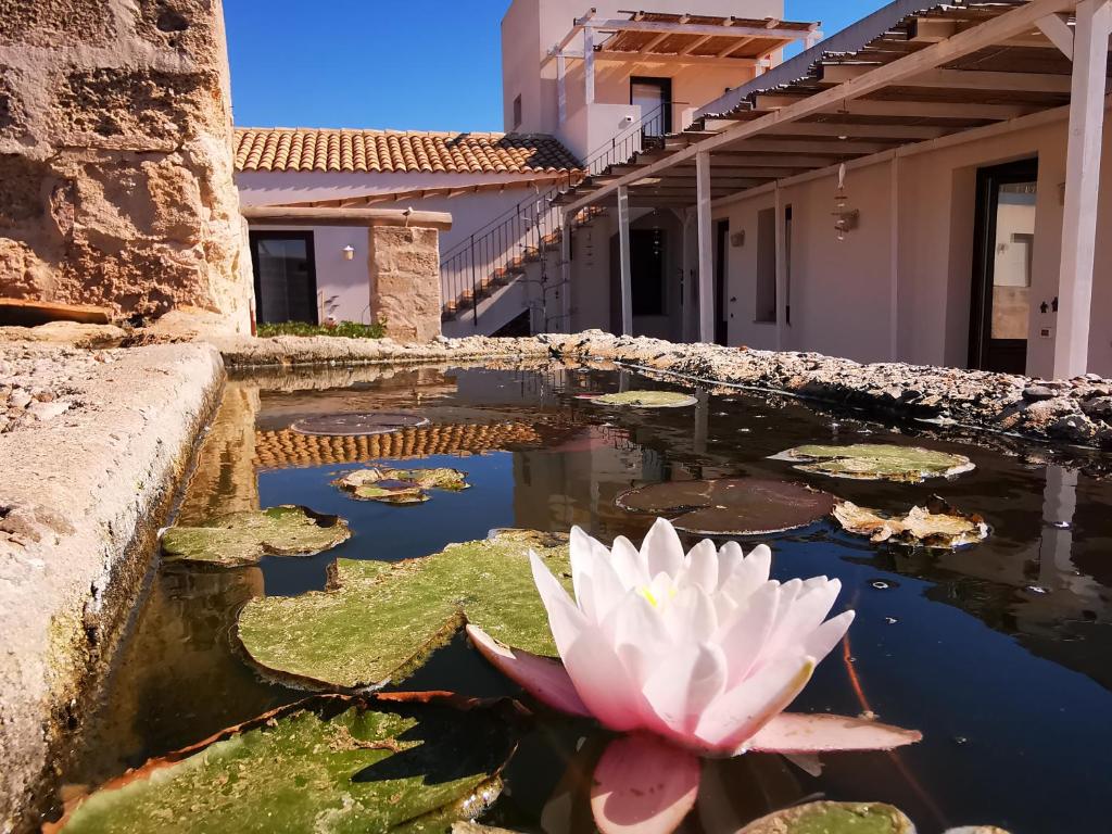 Casa Vacanze Senia Del Rais - 1