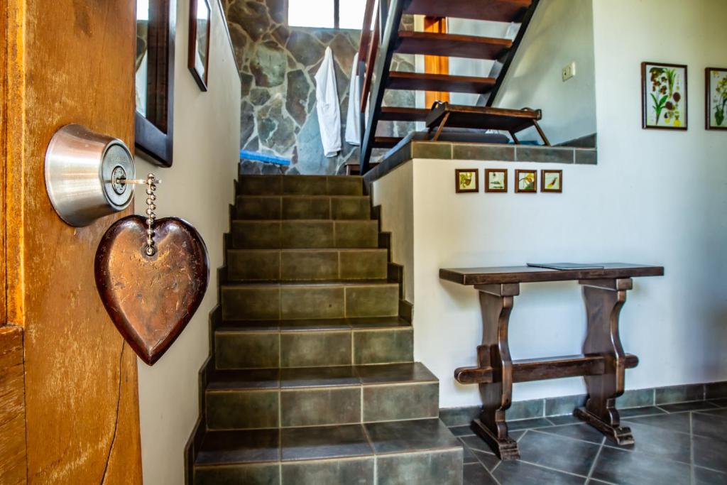 Arco Iris Lodge photo