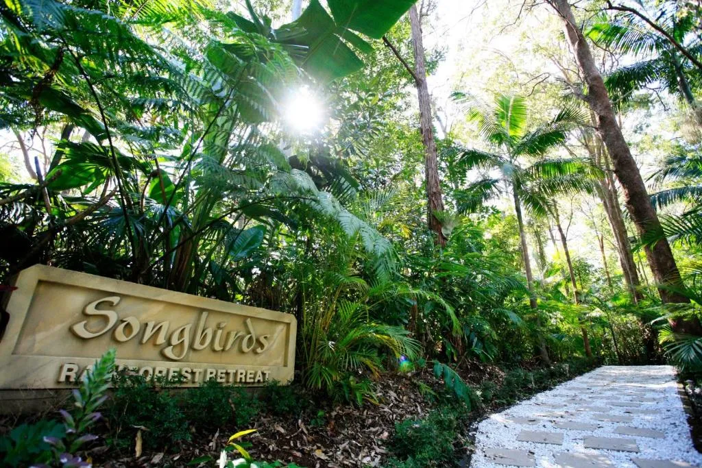 Songbirds Rainforest Retreat, hotel in Mount Tamborine