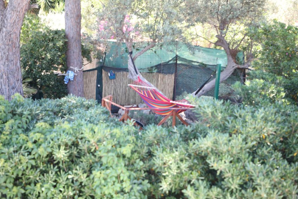 Casa Elvira - 5