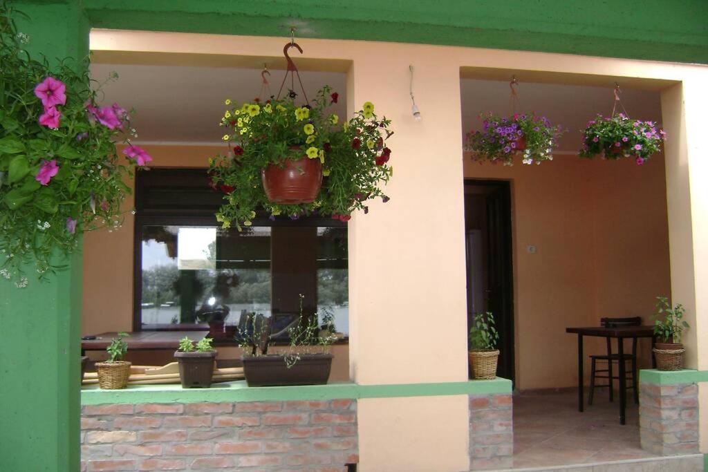 Green River House Belgrade - 4