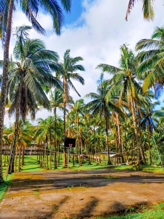 Surrounding environment