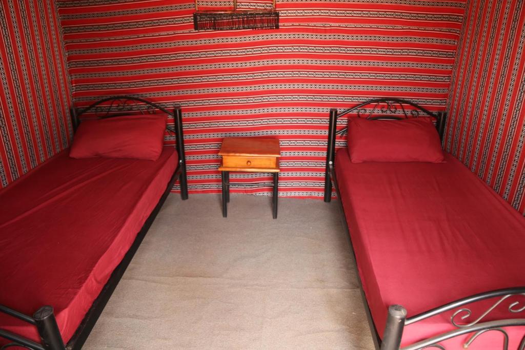 Desert Rose Camp photo