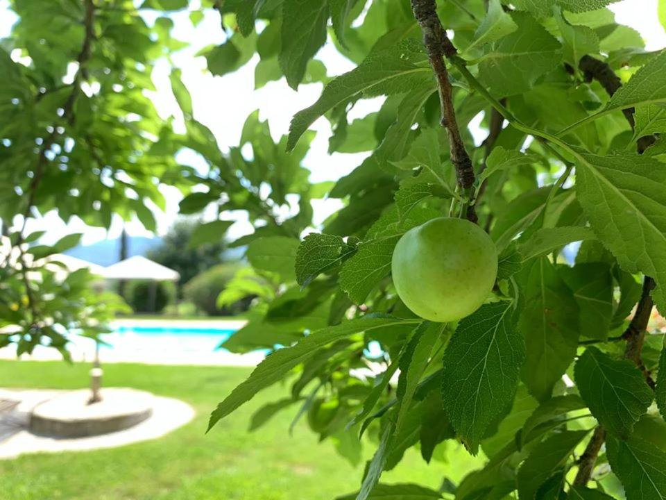 Relais Del Lago - 4