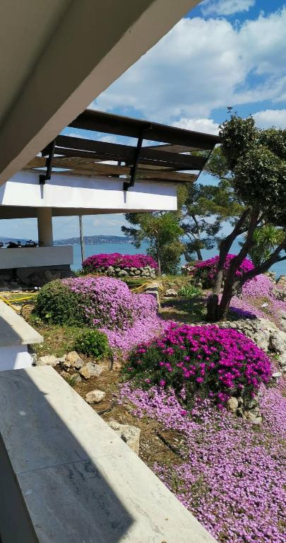 Villa Valdroni photo