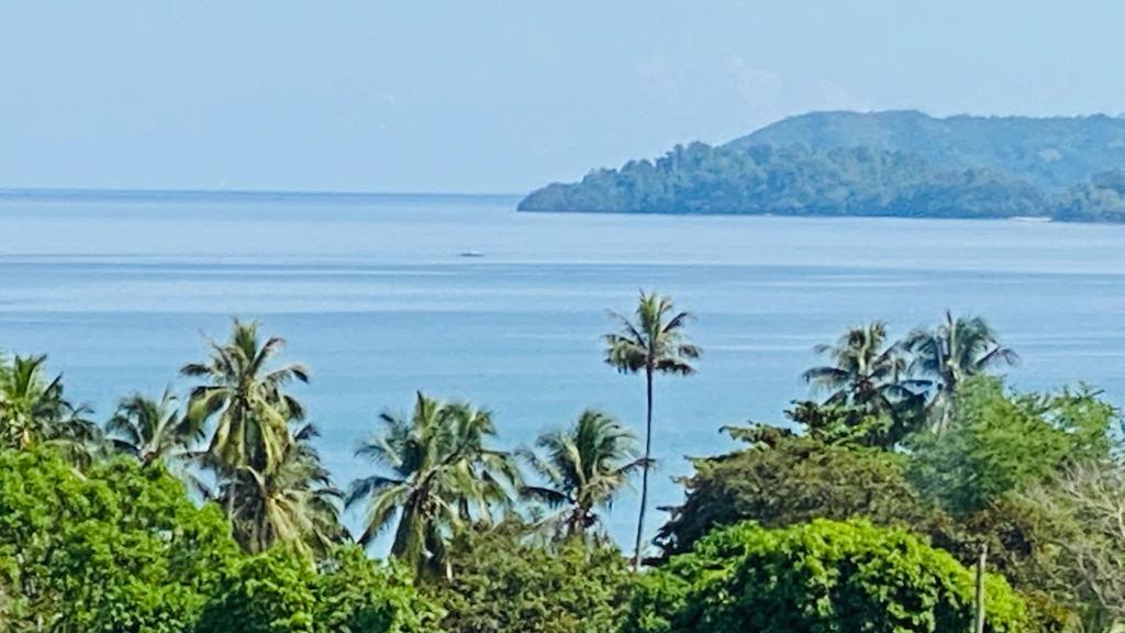 Surrounding environment