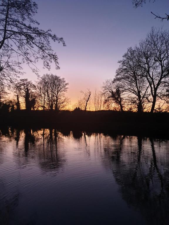 アクティビティ