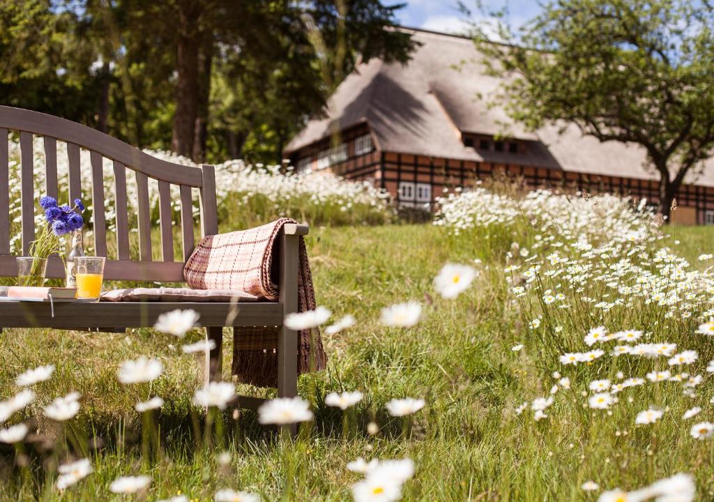 Park am See, HOTEL SPORT SPIRIT — Hotel in Penzlin