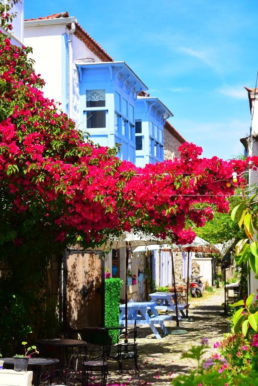 Rue d'Azur Alacatı photo