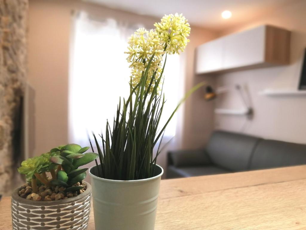 Le Petit Studio - 15 m2 - Centre Ville - Sorgue à 50 m - 4