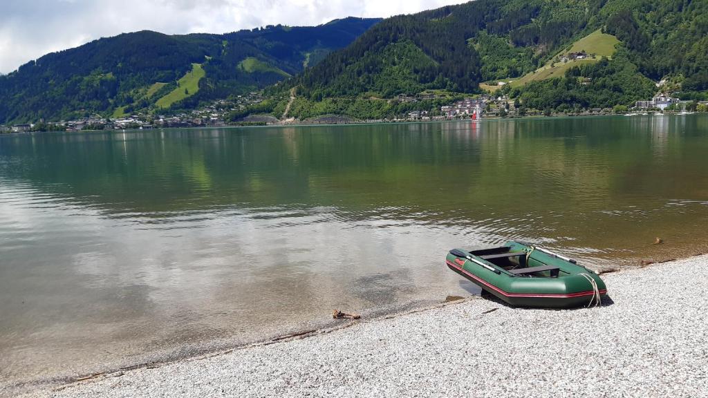 Wildente am See - 4
