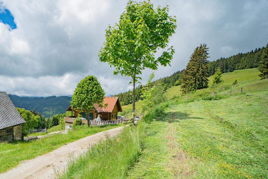 Kogljahrerhütte - 3