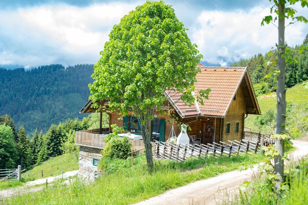 Kogljahrerhütte - 2