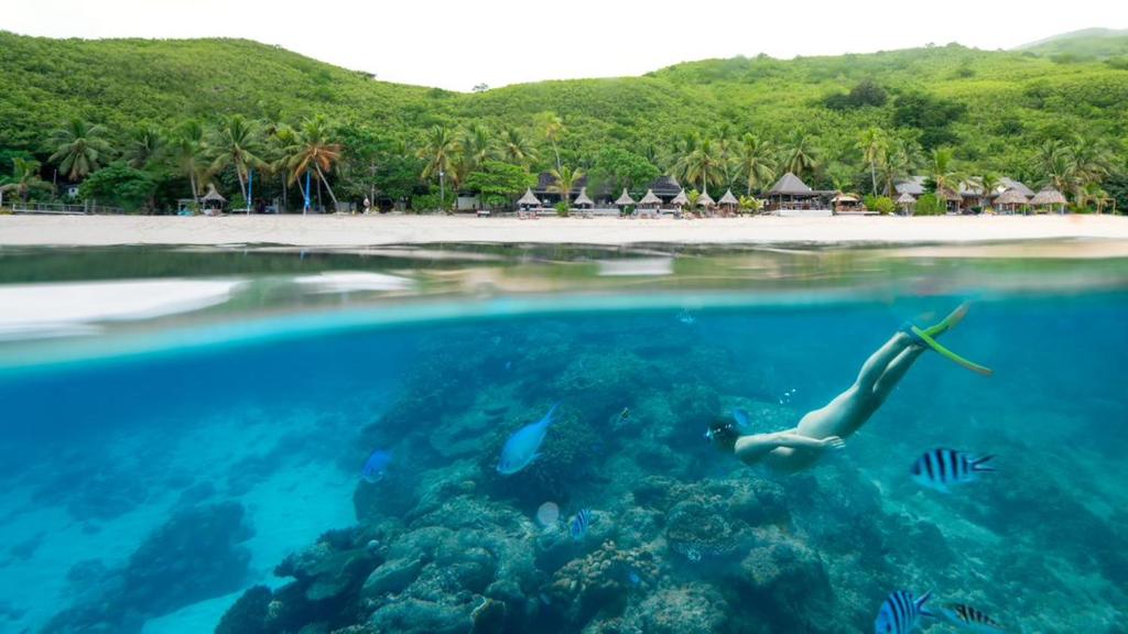 Octopus Resort photo