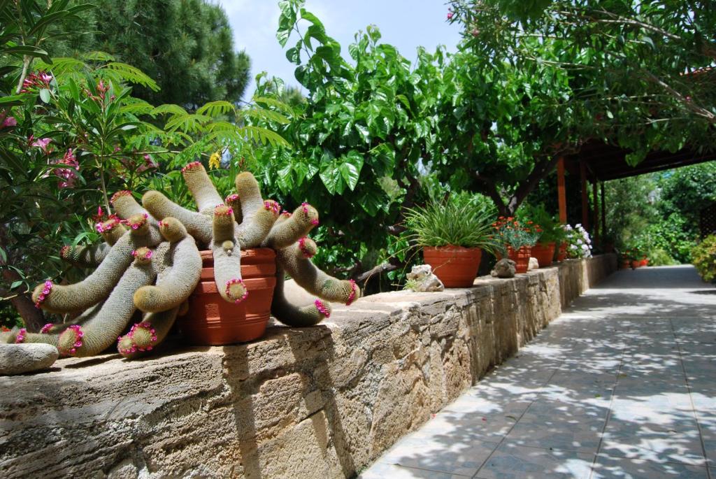 Golden Sun Apartments Falasarna Ellada Times Kai Kritikes Planet Of Hotels