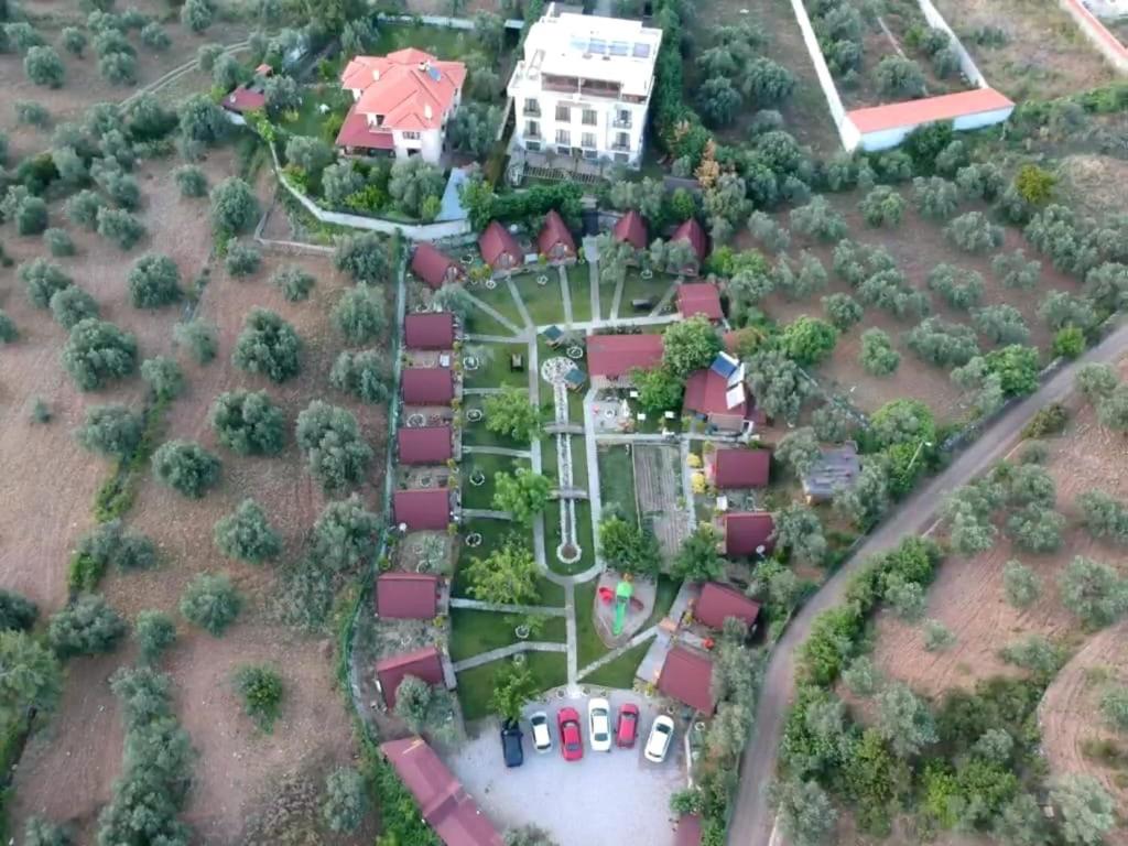 Surrounding environment