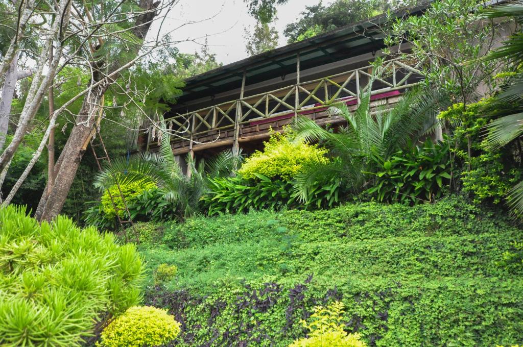 Karama Lodge photo