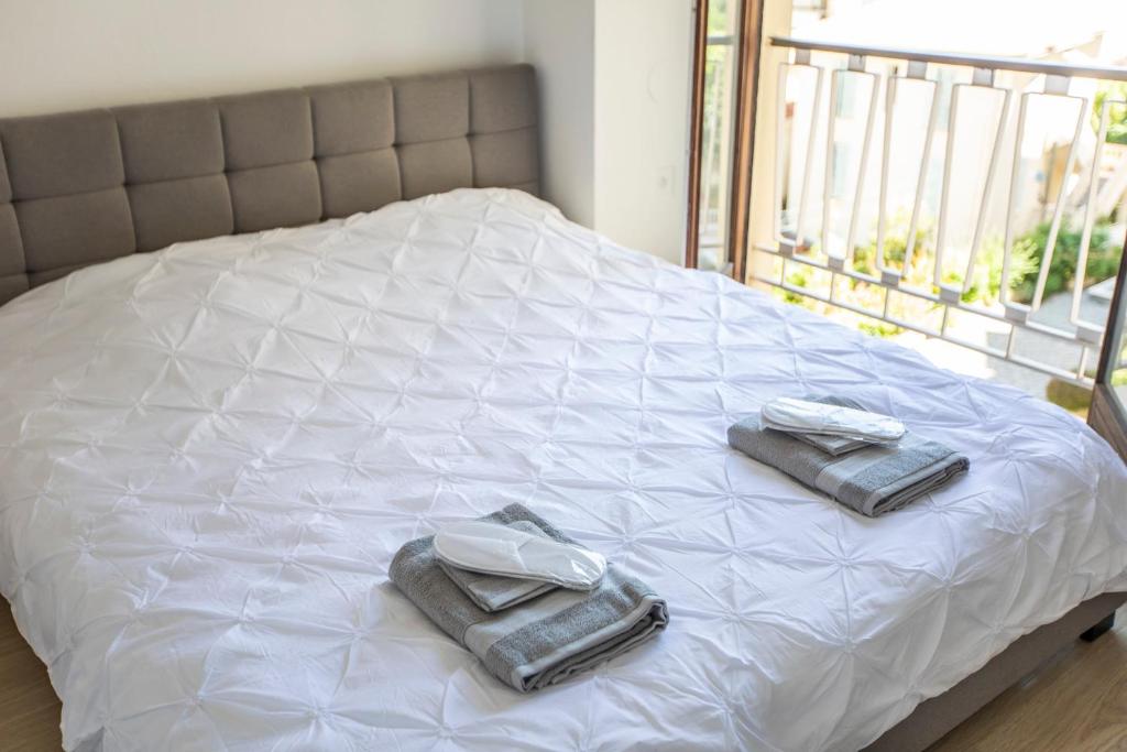 ++++ renovated cosy 50m2 sunny flat / balcony / close to beach and to the Palais des festivals ++++ - 5