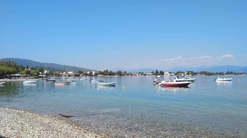 Plaz Hotel photo