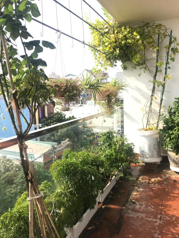 XAM HOUSE HOSTEL photo