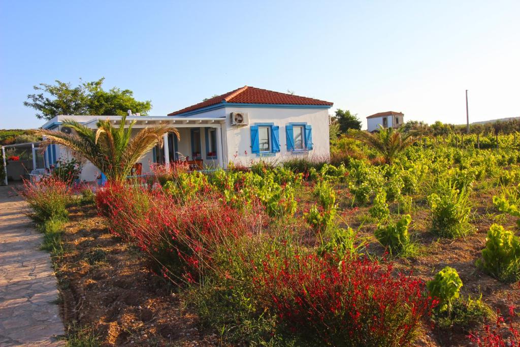bozcaada ilgin bag evi bozcaada turkiye fiyatlar ve yorumlar planet of hotels