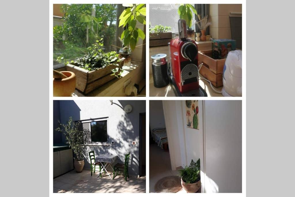 A sweet apartment in Hula valley
