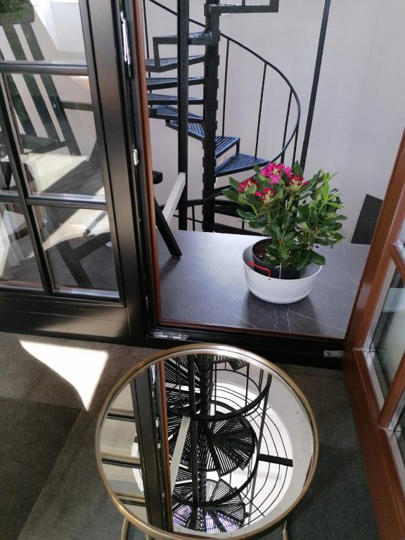 Mystictone - loft in the heart of Warsaw - Nowy Swiat ROOMTONES photo