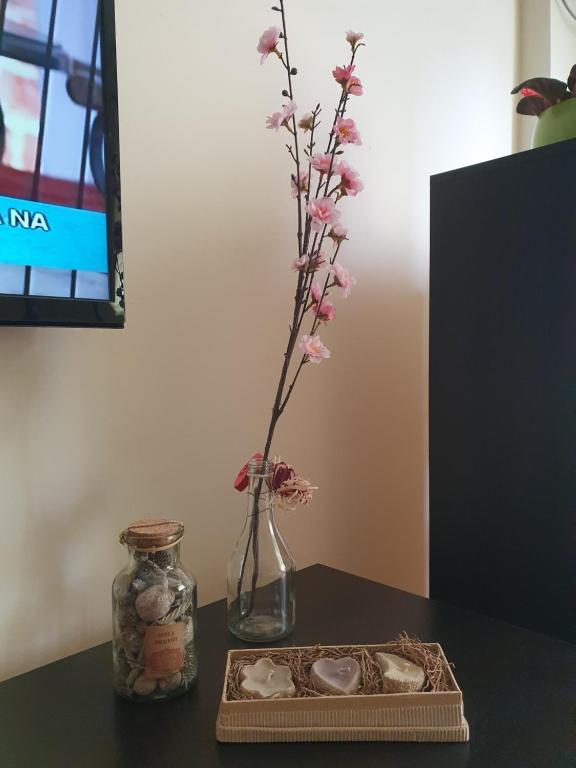 Stankovic apartman - 4