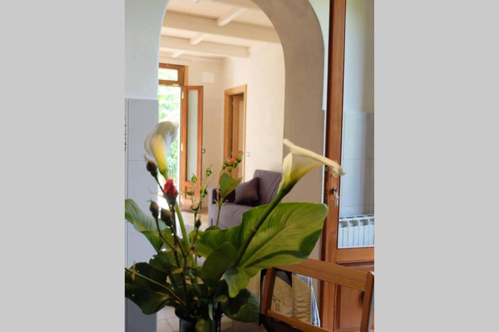 La casina di Bruna 전경