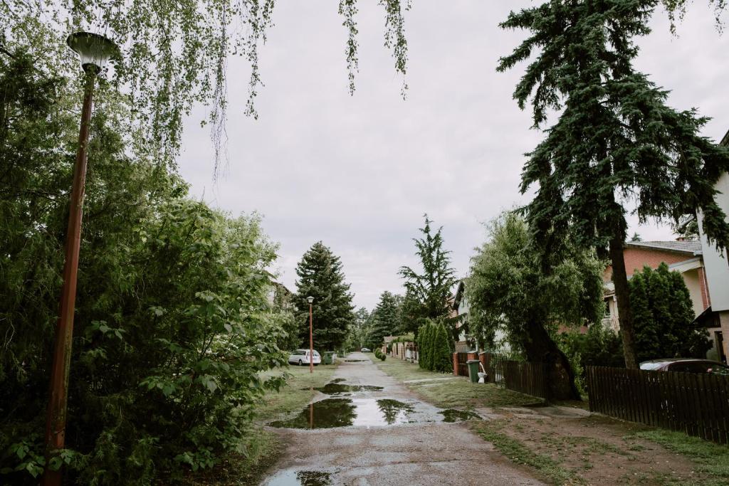 Apartments Buba ** photo