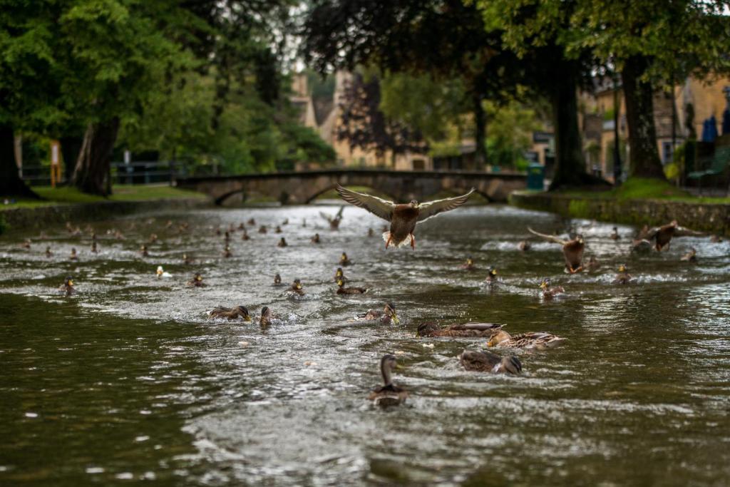 周辺観光スポット
