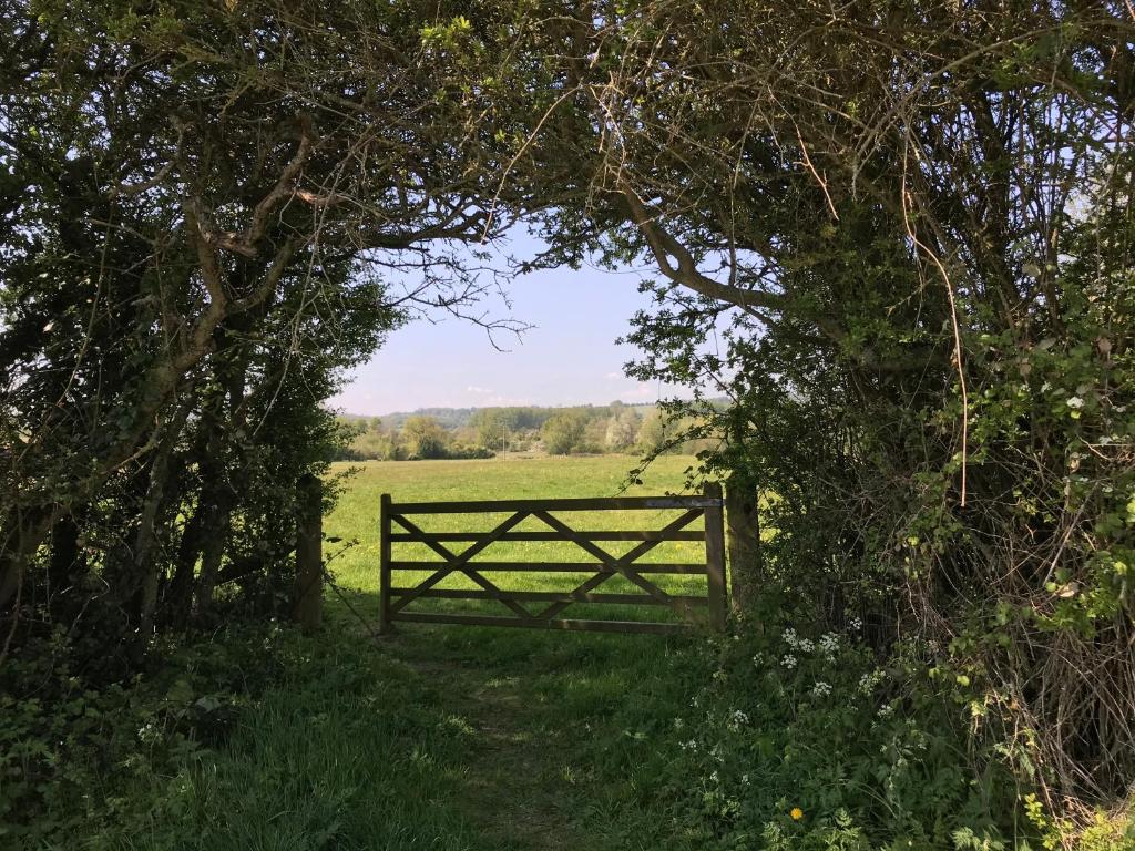 スポーツ/アクティビティ