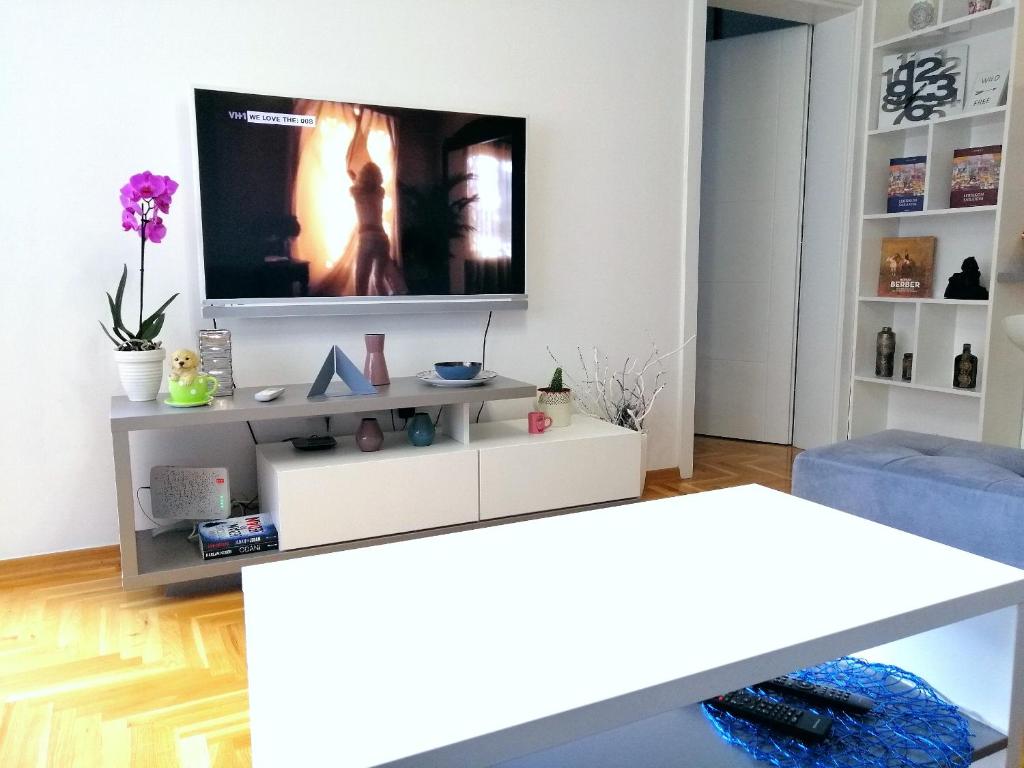 Modern Sarajevo apartment - 5