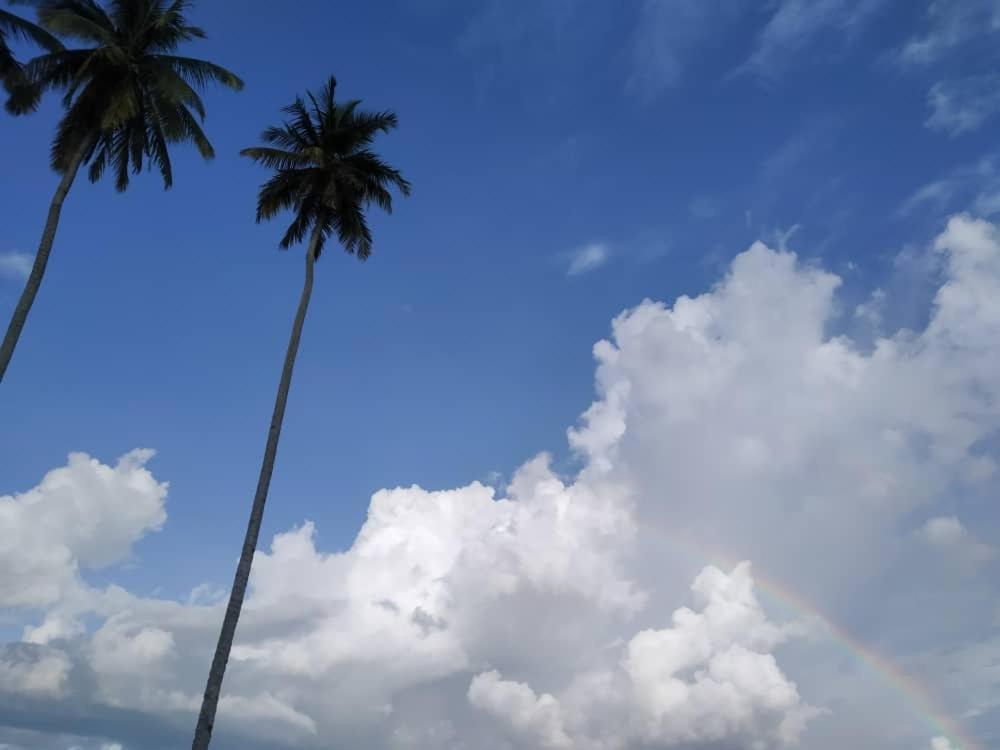 Rafflesia Resort photo