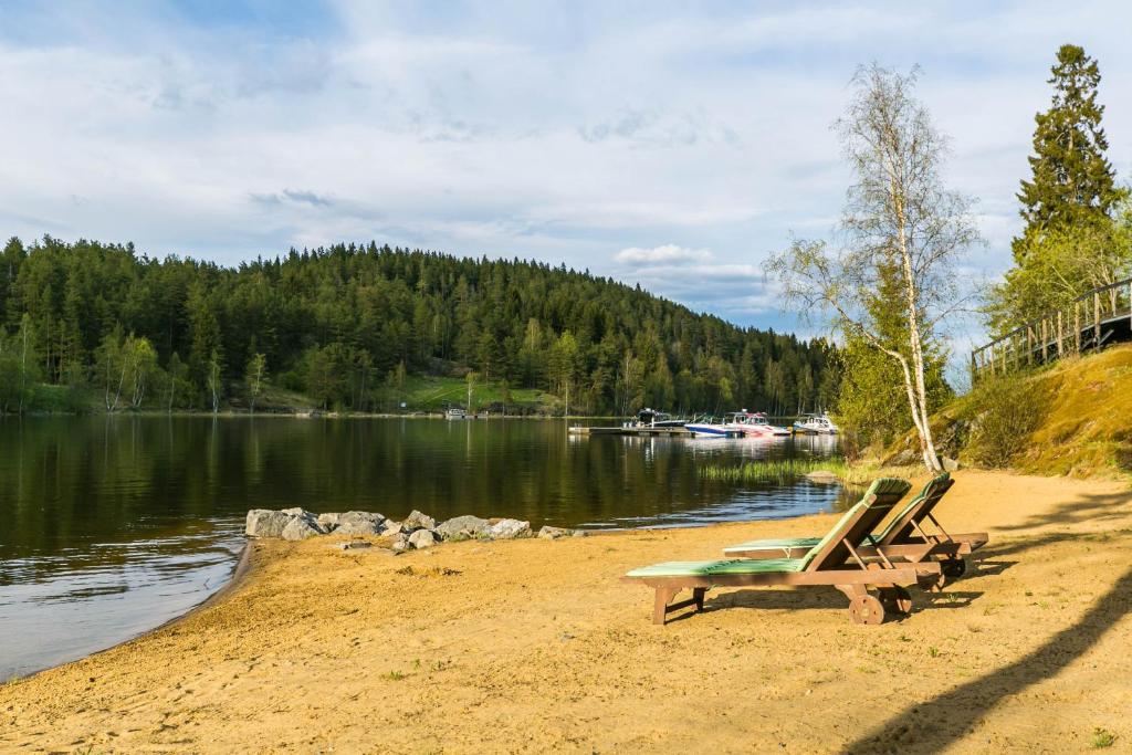 Ladozhskaya Usadba photo