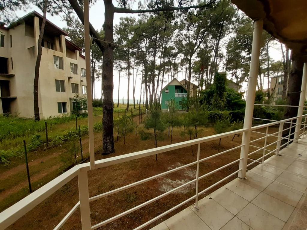 Грузия григолети Грузия григолети