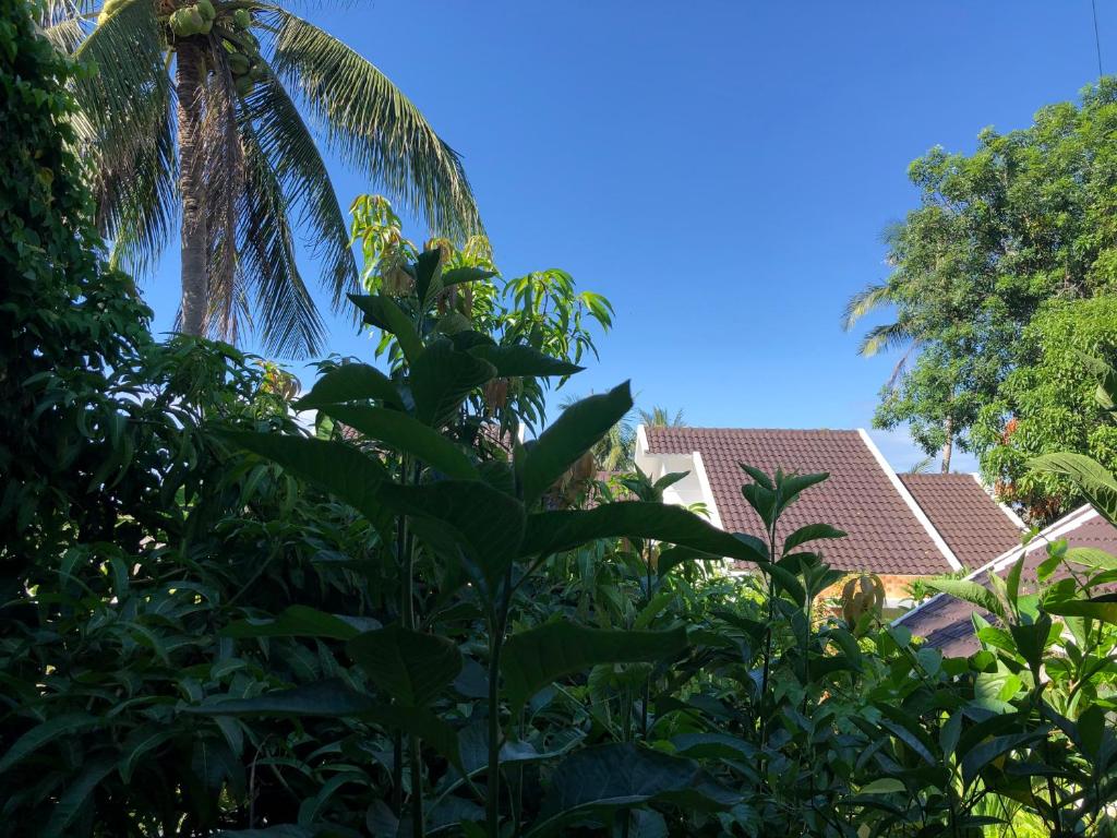 Hoang Ngoc's House photo