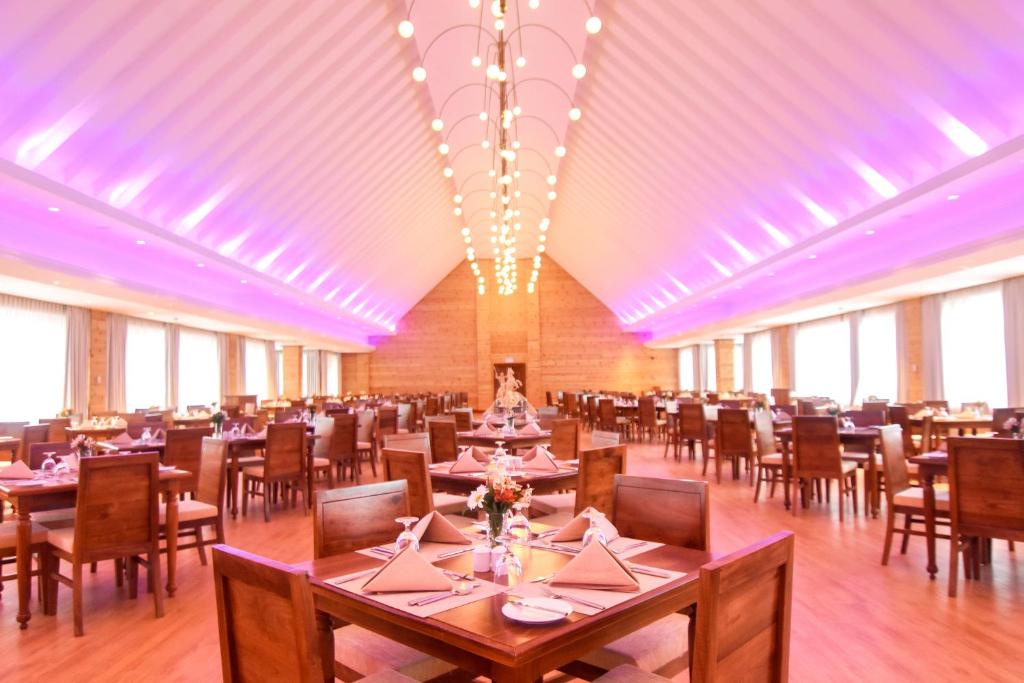 1. 아랄리야 레드 ..