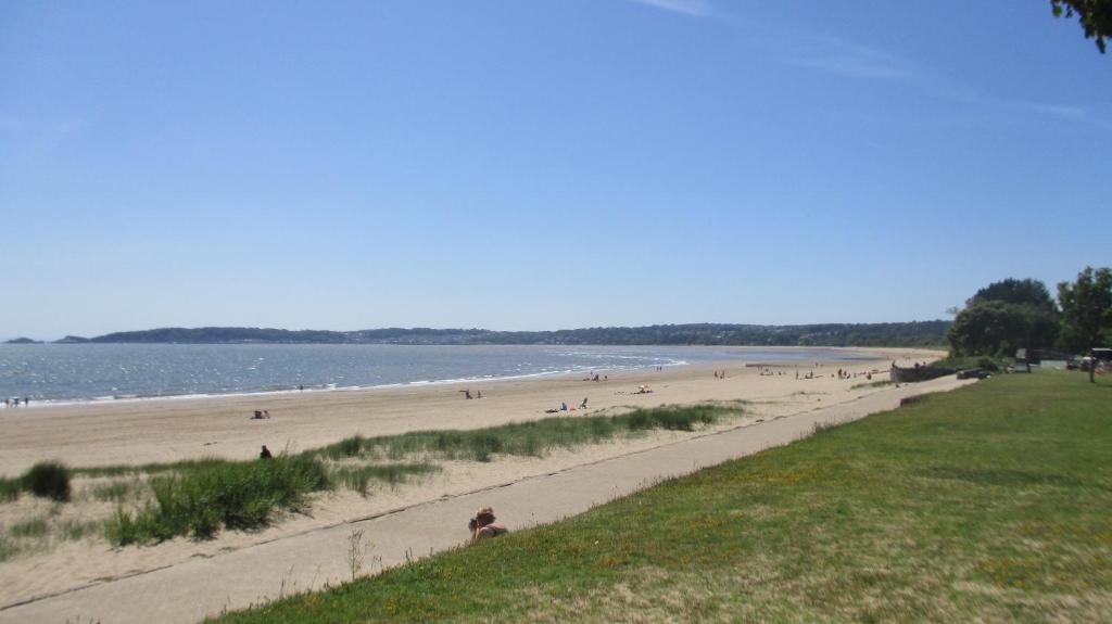 Beachcomber photo