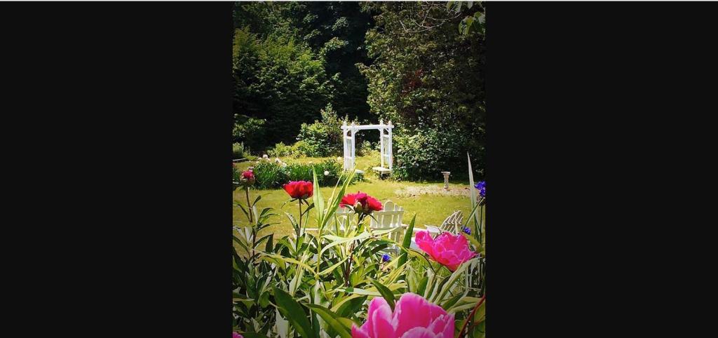 Popular attractions Area Nearby Property