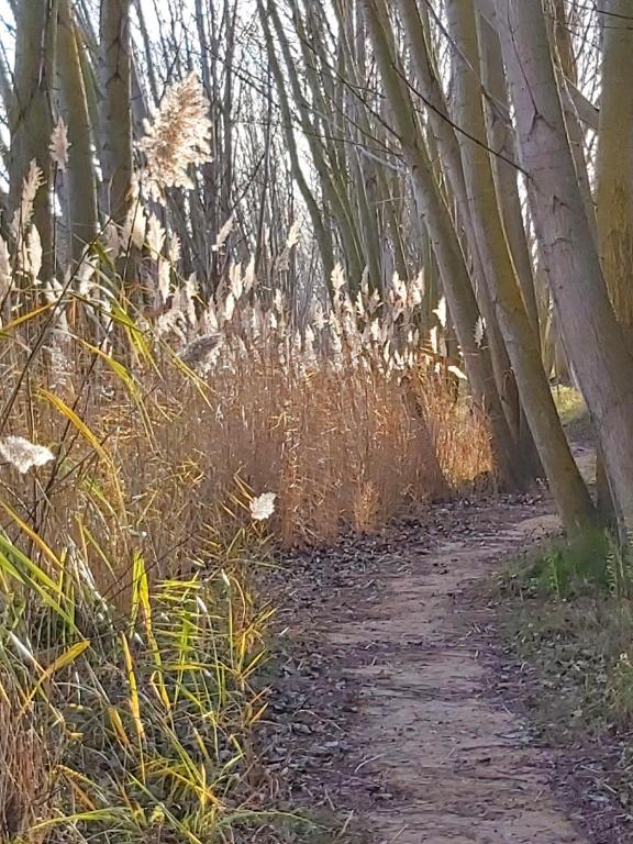 DURMIENDO ENTRE ARBOLES, Bonita cabaña en La Rioja - Haro- reserva tu hotel  con ViaMichelin